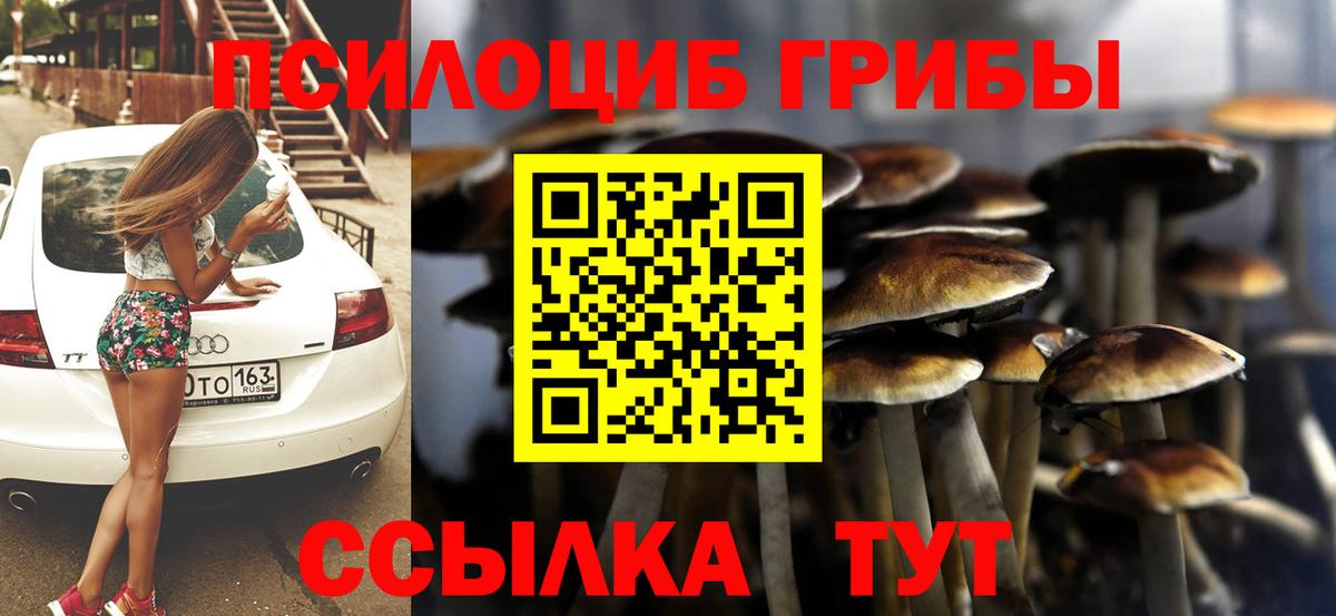Фролово  Псилоцибиновые грибы MAGIC MUSHROOMS  Вход с VPN 
