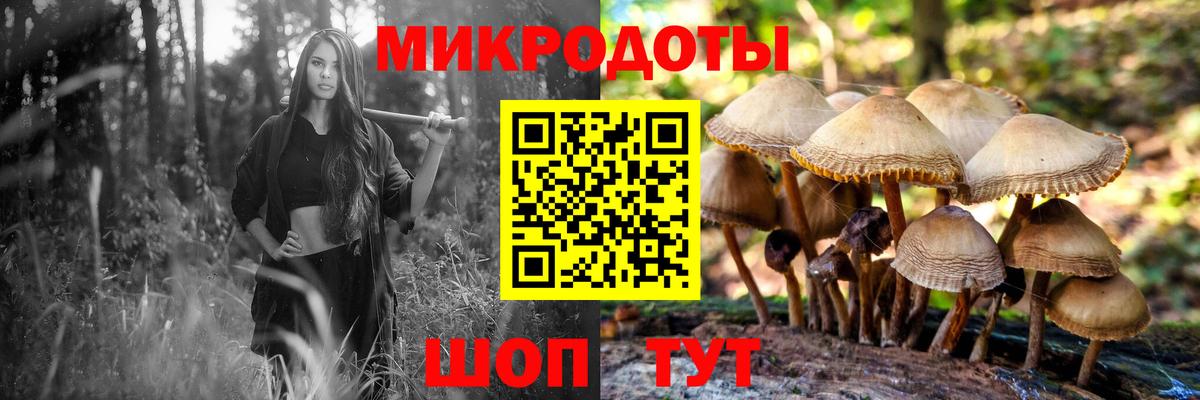 Псилоцибиновые грибы Psilocybe Фролово